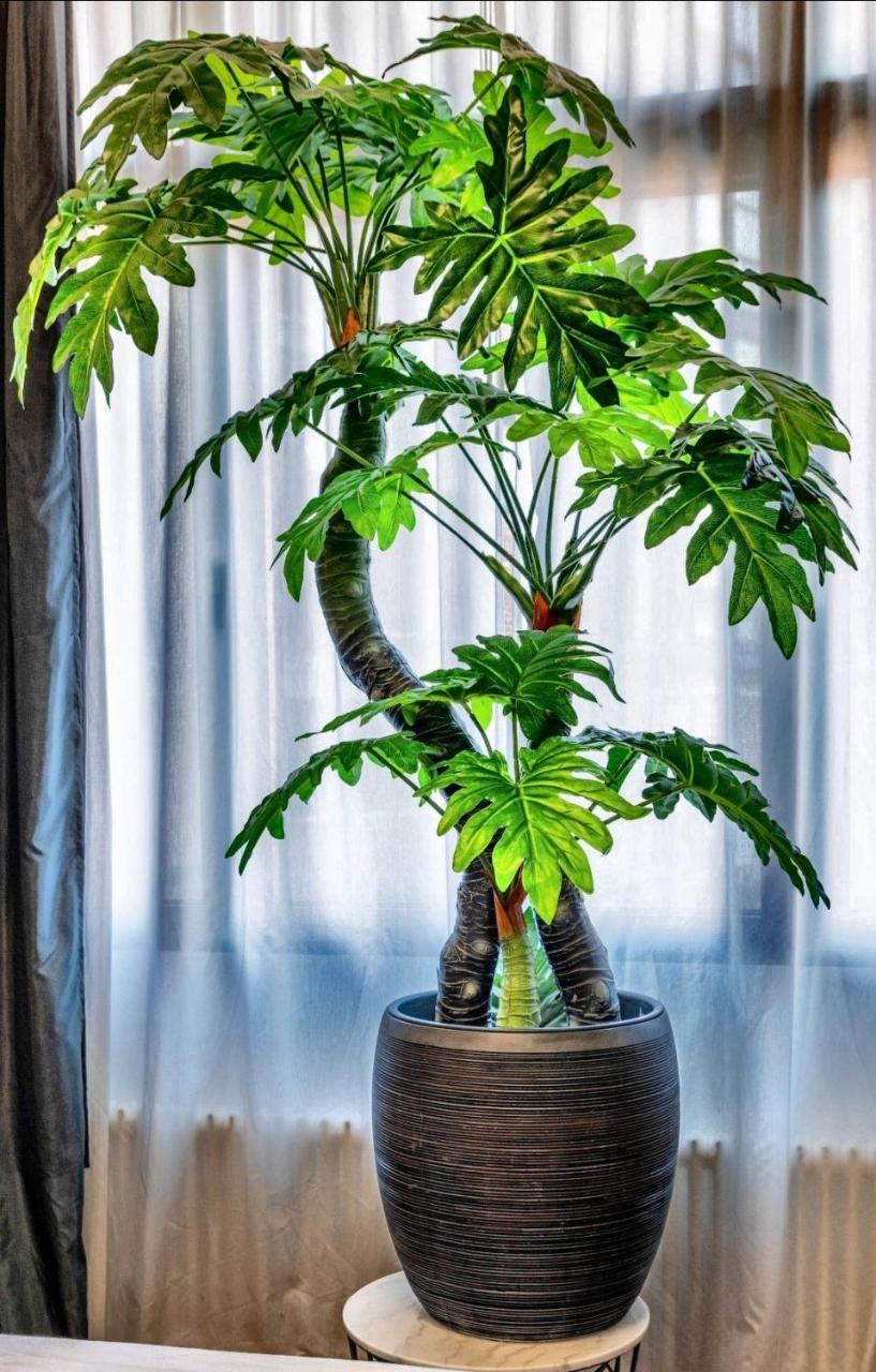 High Level Apartment マンハイム エクステリア 写真